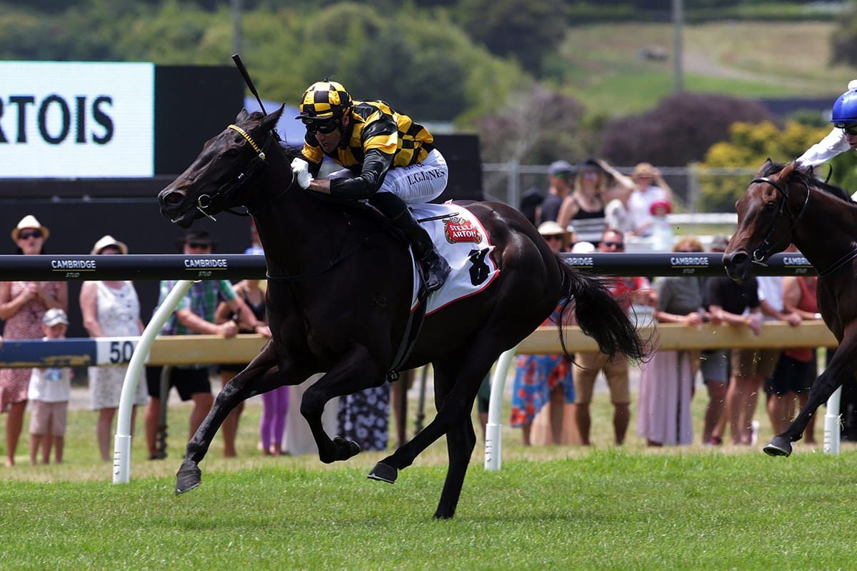 Taroni set for Karaka Million
