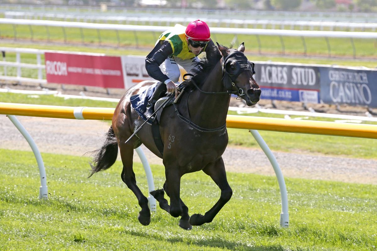Fine line to Derby for stablemates