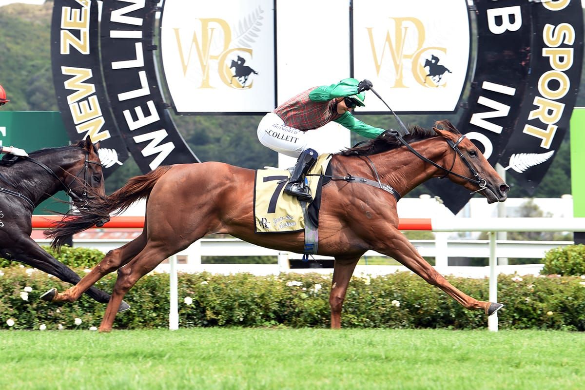 Travis mission for Travelling Light