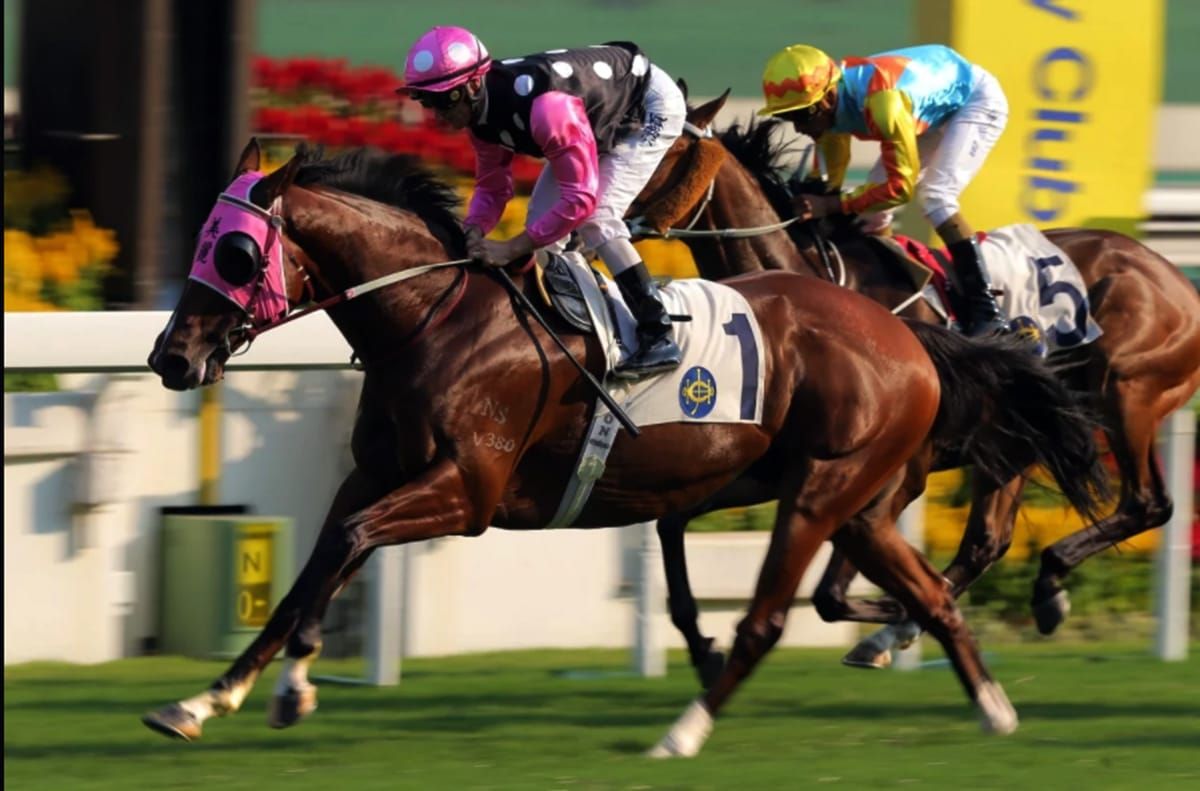 Beauty Generation’s ‘enthusiasm’ excites Zac Purton ahead of champion’s Group One return