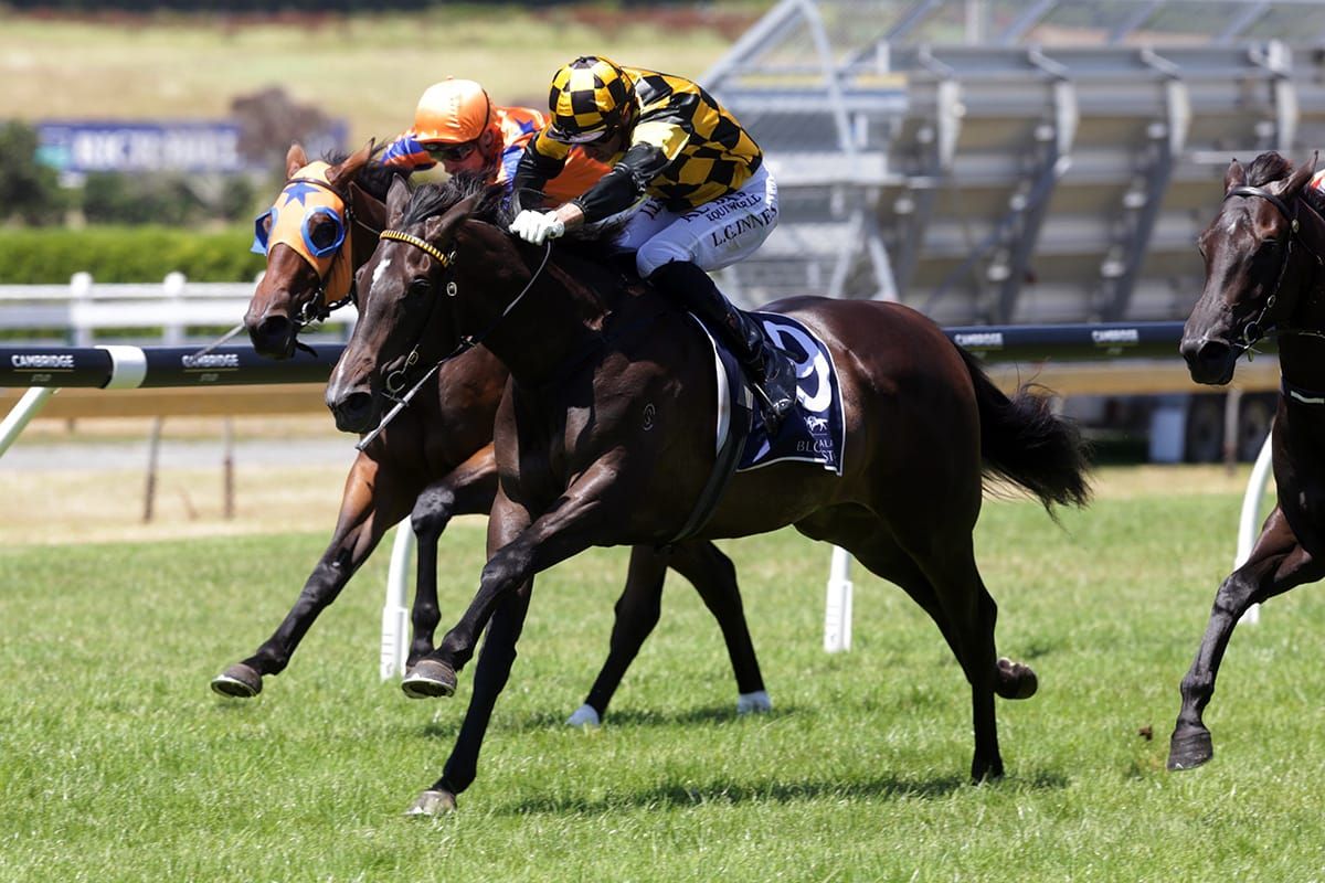 La Vernazza out for spring