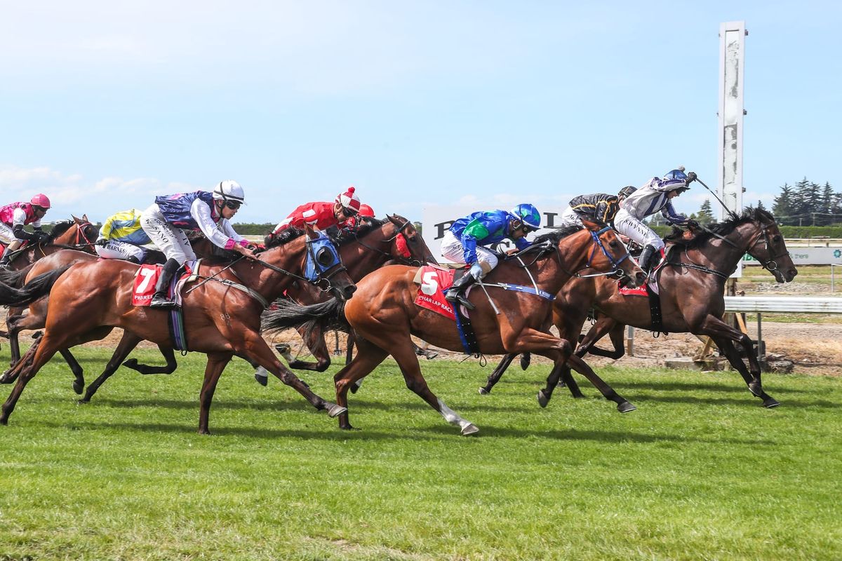 Prendergasts dare to win at Wingatui