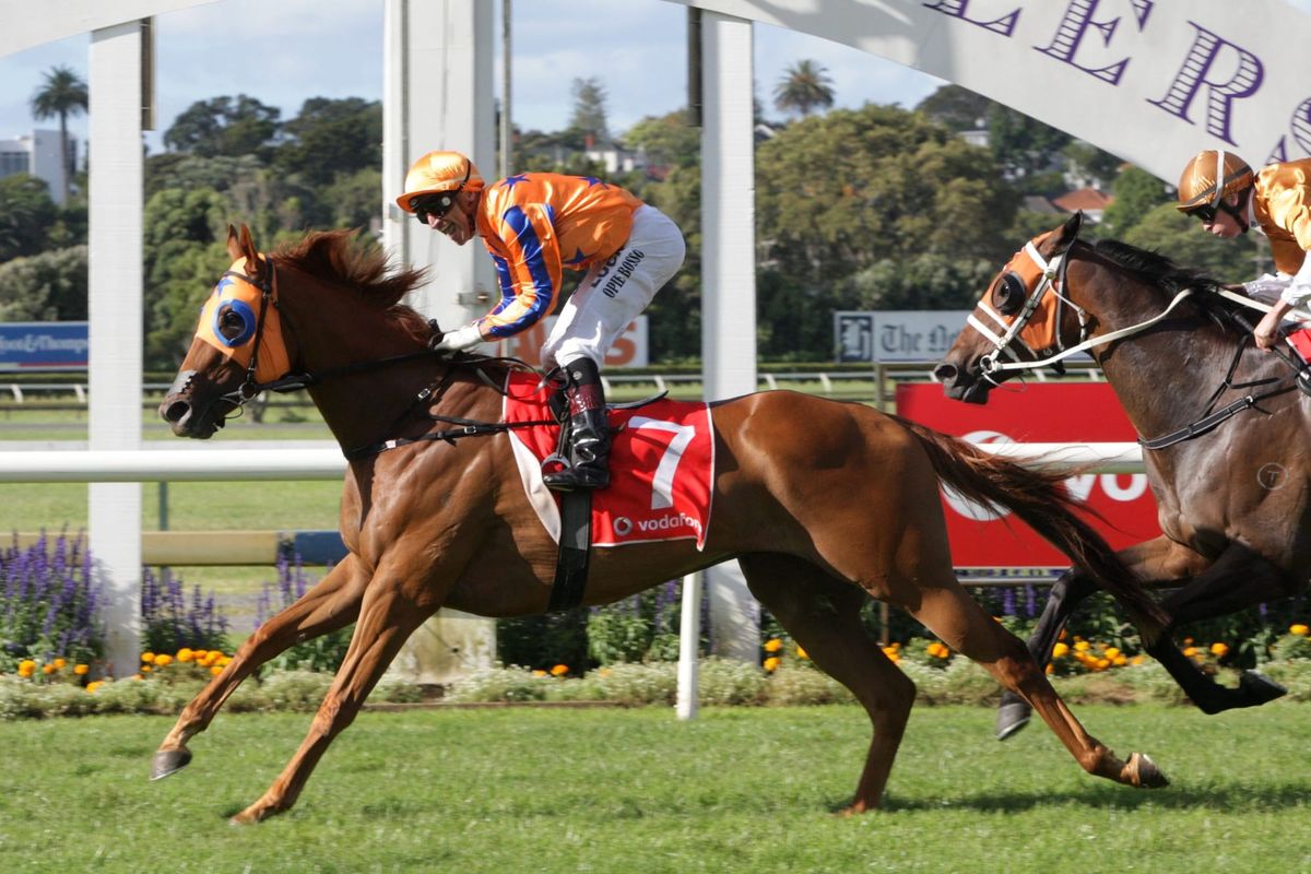 Retired star Gingernuts adds extra crunch to Derby Day