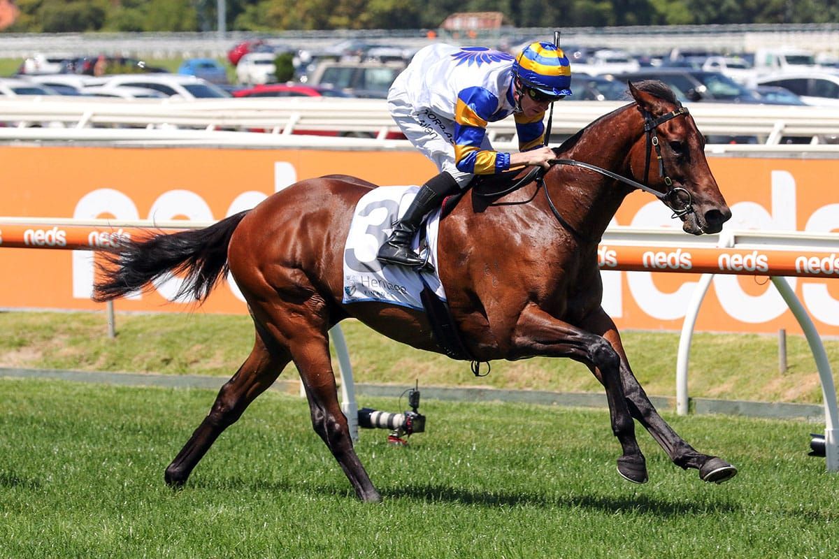 Kiwi-bred Aces Autumn Classic