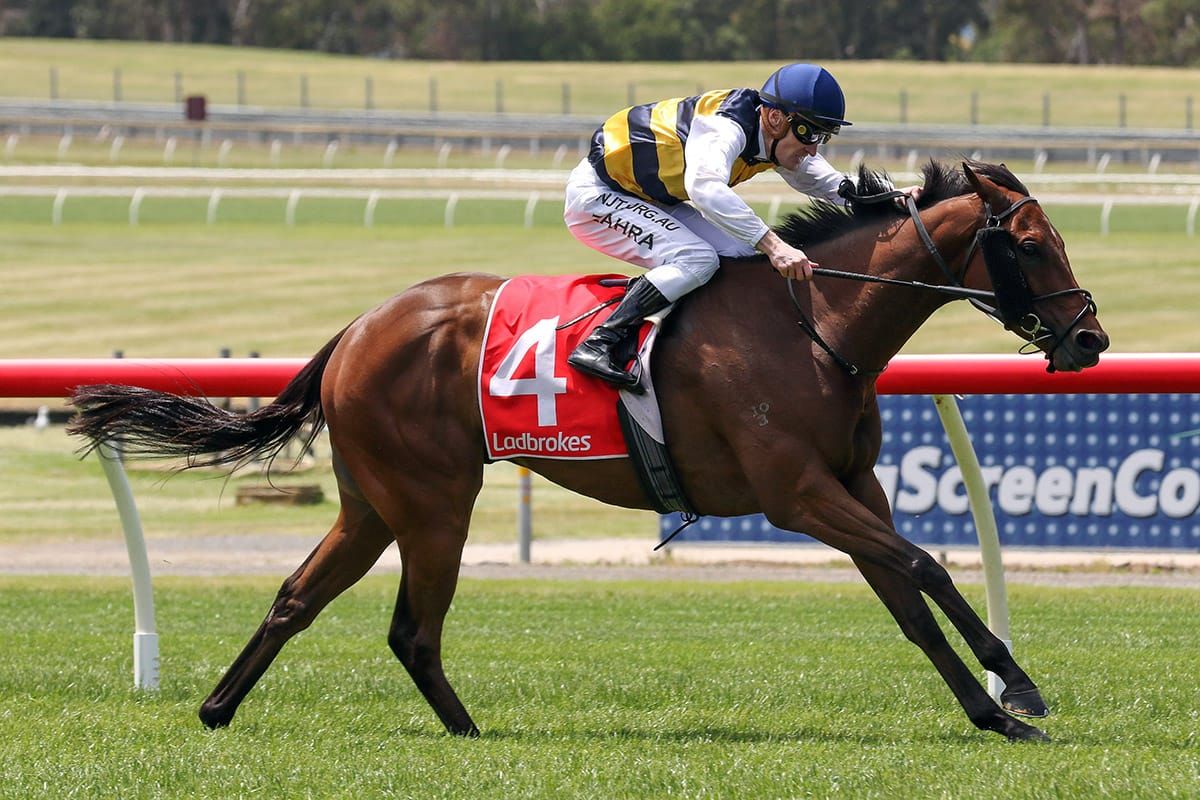 Maher eyes New Zealand Group One