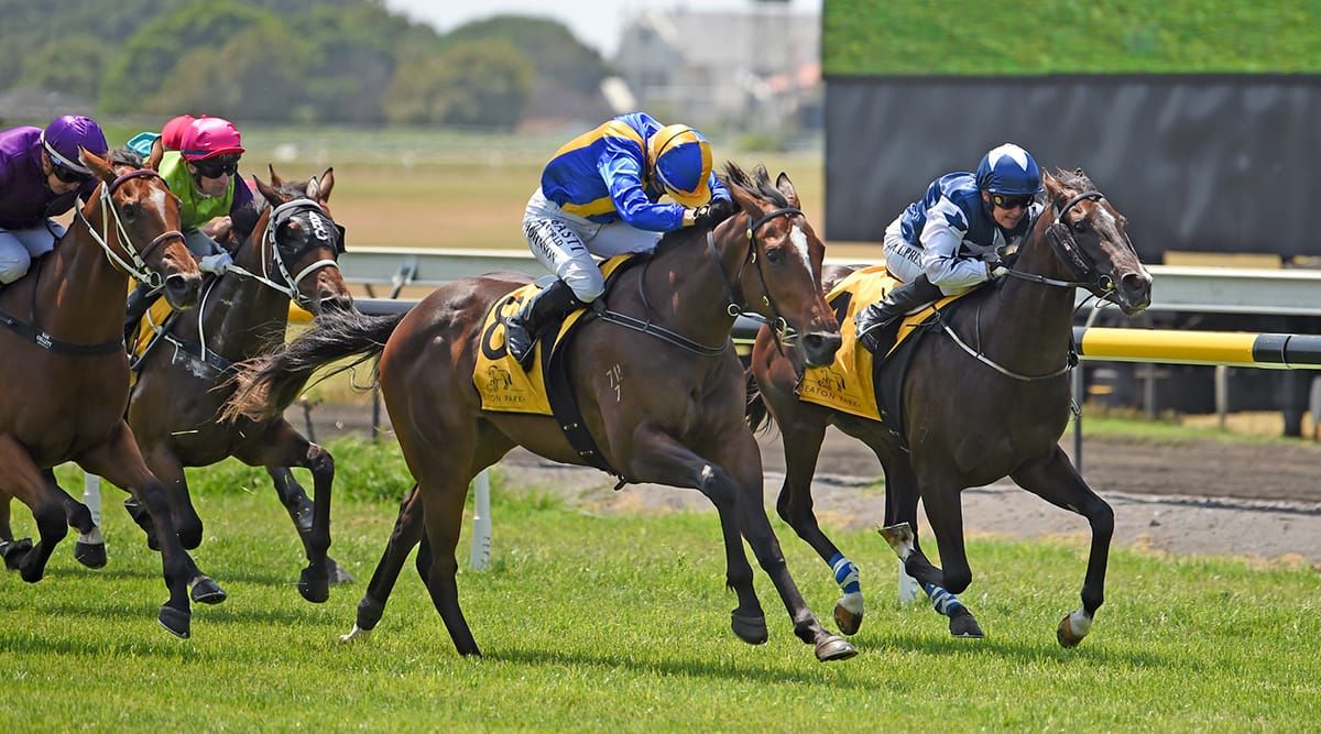 Baker Forsman filly takes Taranaki juvenile feature
