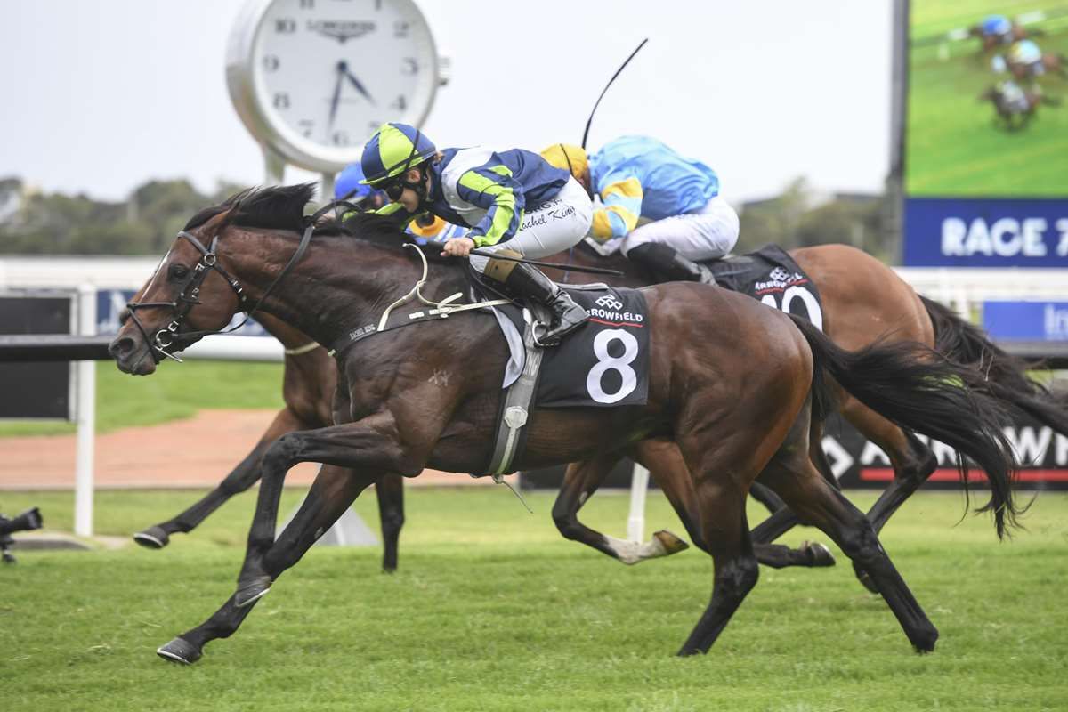 Big spring tipped for Brandenburg