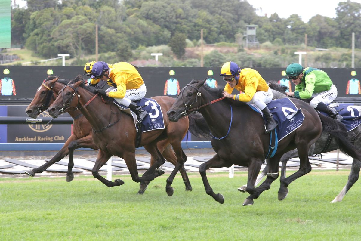 Walker snares Group Three on return home