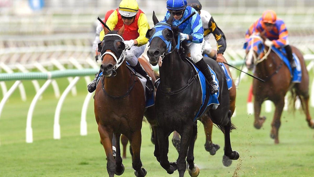New Universe to reach the heights in Cup