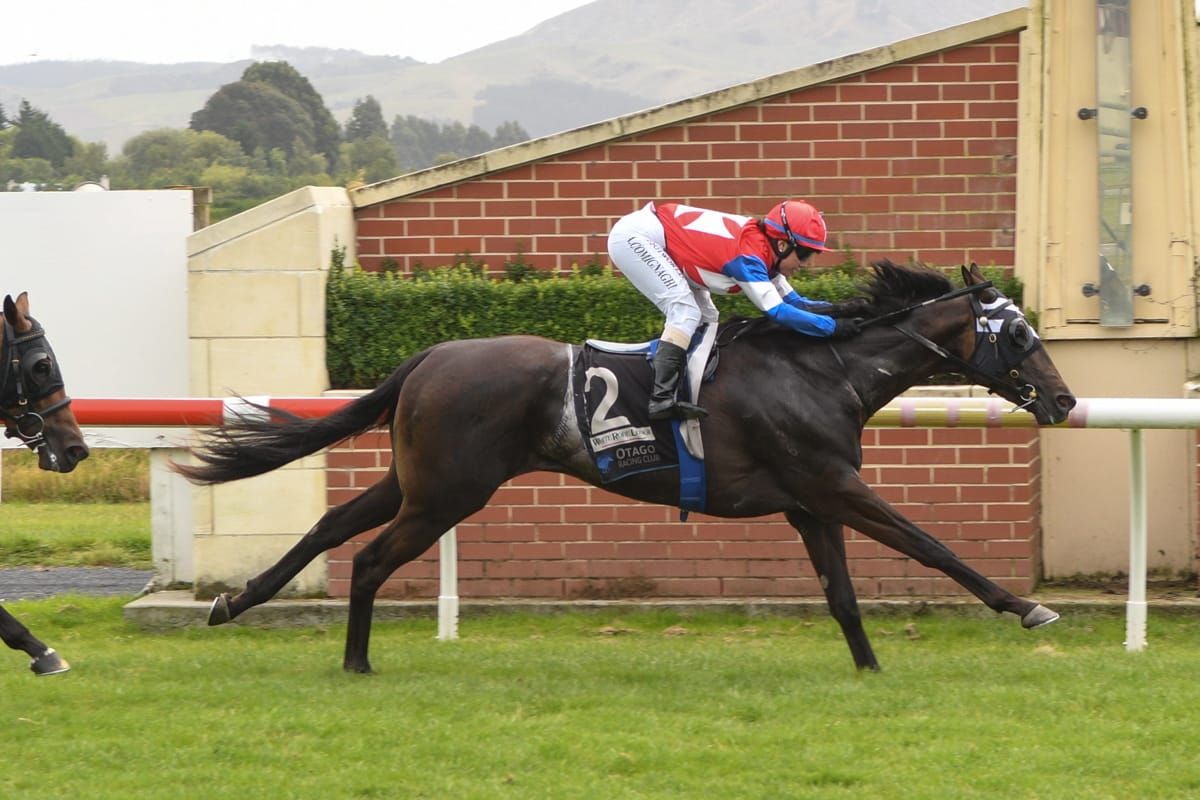 El Gladiador all the way in Guineas upset