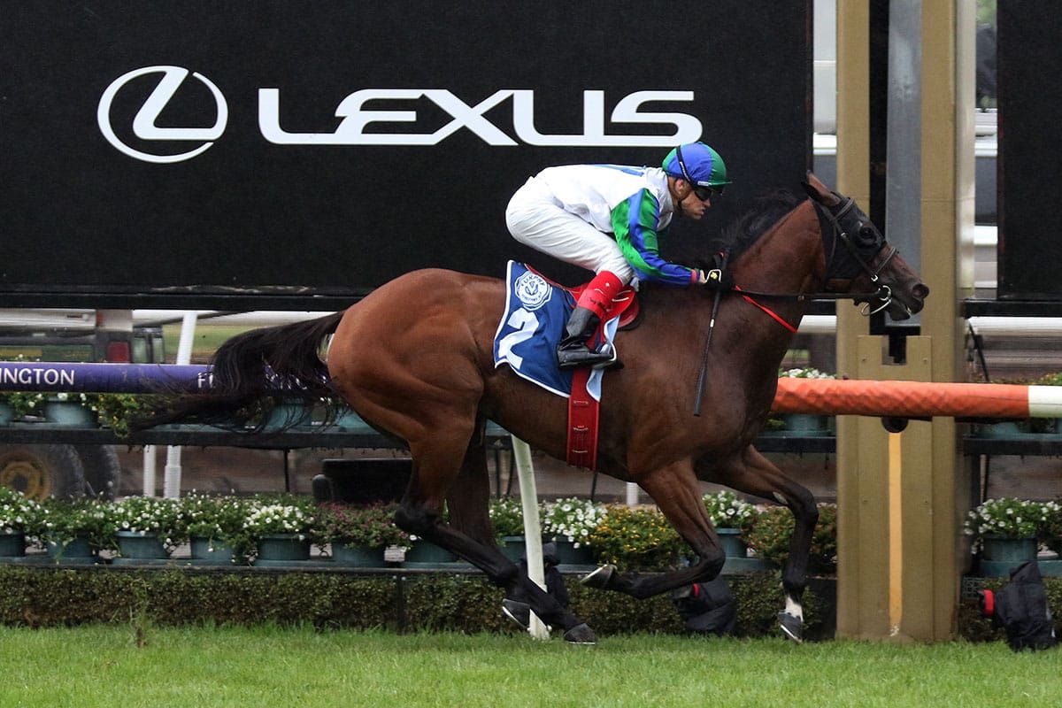 Fabric scores front-running Flemington win