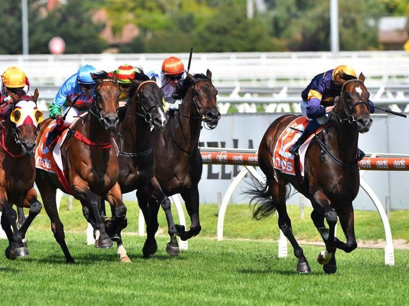 Alabama Express set for Guineas showdown
