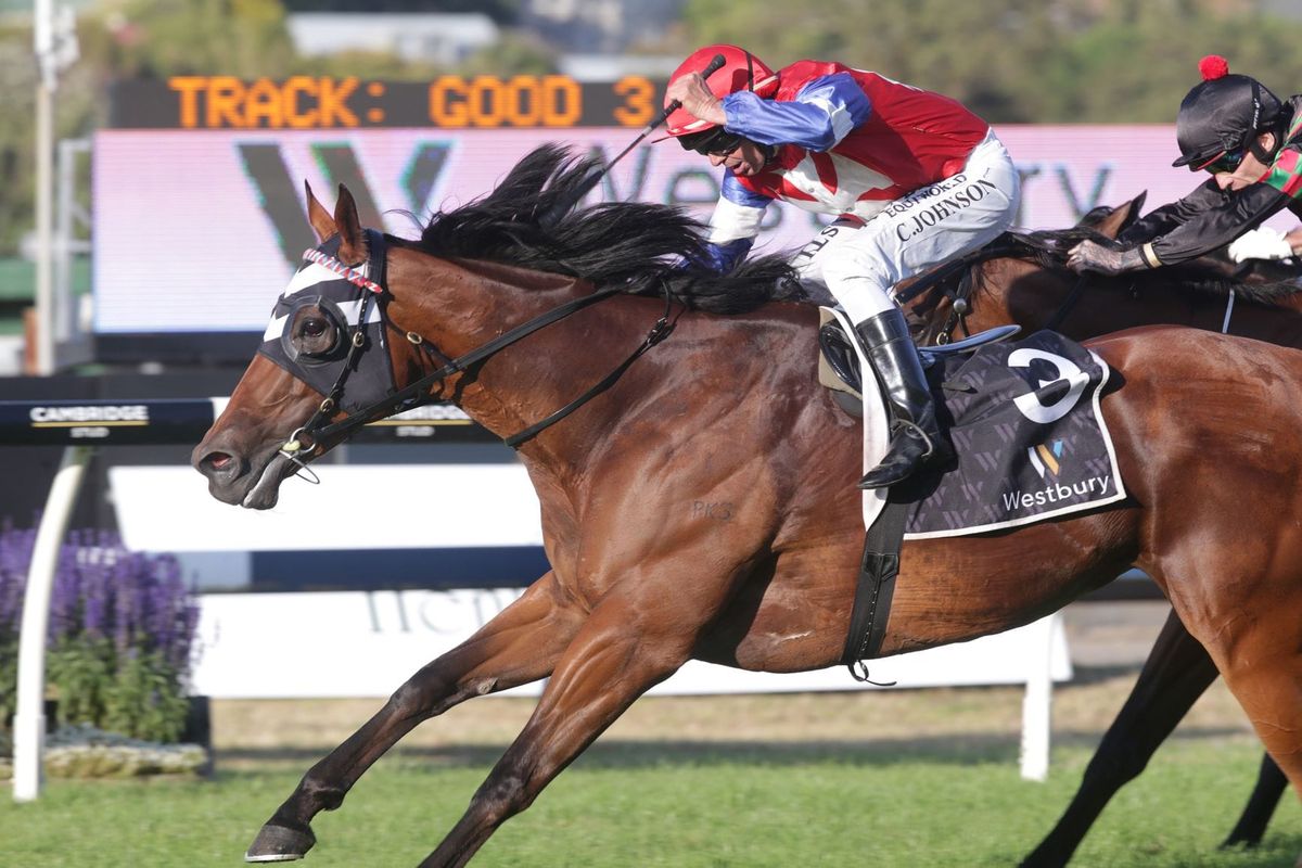 Parsons shoot for Group One double at Te Rapa