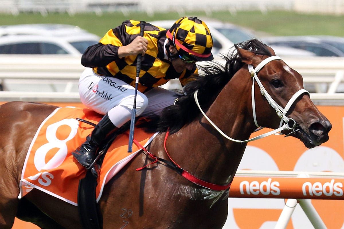 Letzbeglam emerges as a Blue Diamond hope