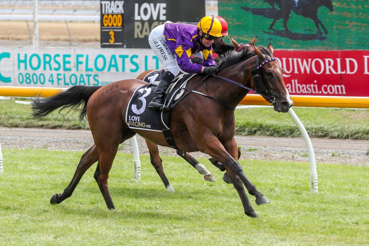 Plenty of Live Drama expected in Wingatui feature