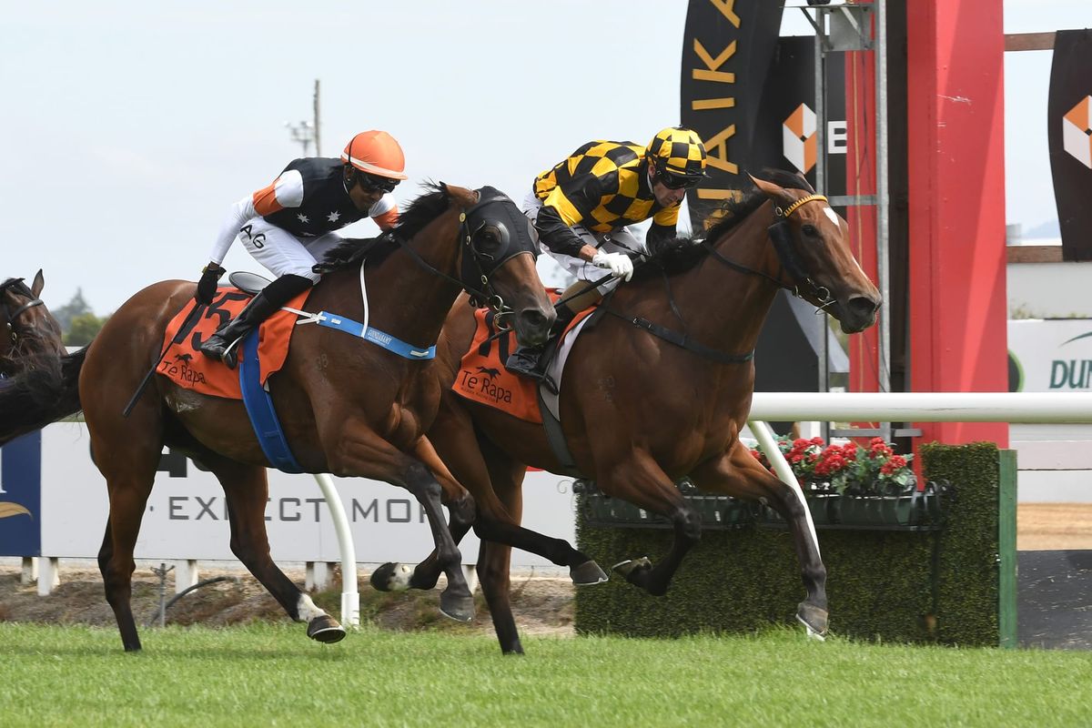 Noble upbeat about Oaks contender