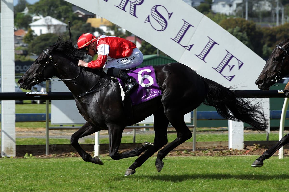 Marshal ready for SA kick-off