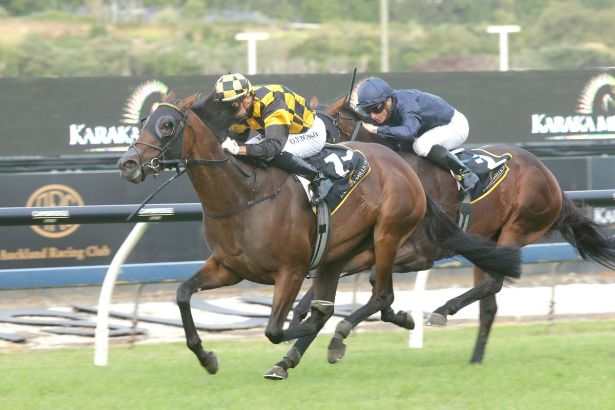 Probabeel on target for Surround