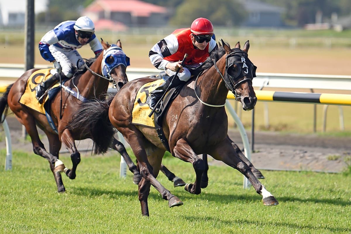 Reggiewood a bright young talent for Derby King