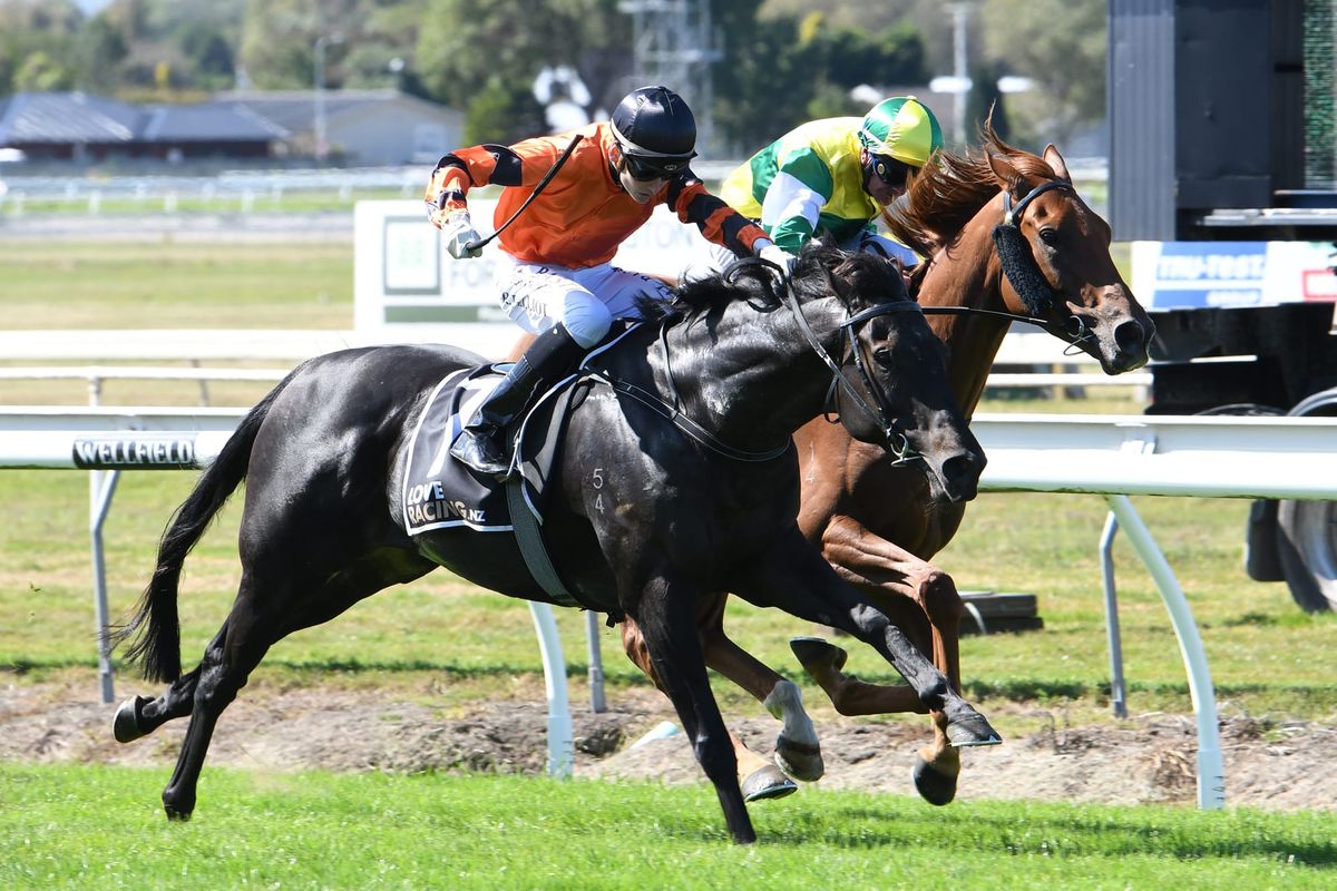 Consistent galloper set for Group One glory