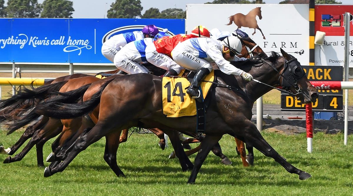 Blanket finish to Oaks Prelude