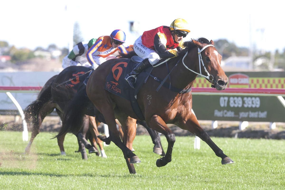 Sulky Sheezallmine to bounce back at Ellerslie