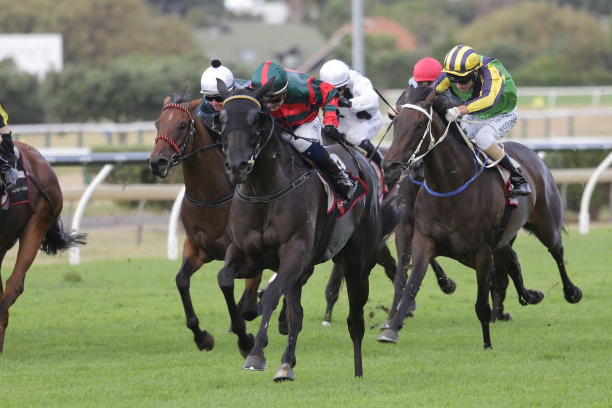 Spring Heat delivers in King’s Plate