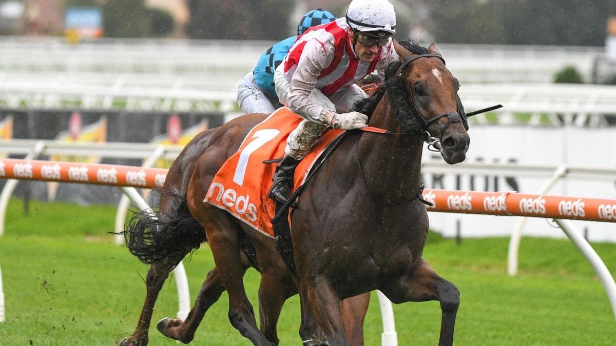 Decision still pending on Super Seth path