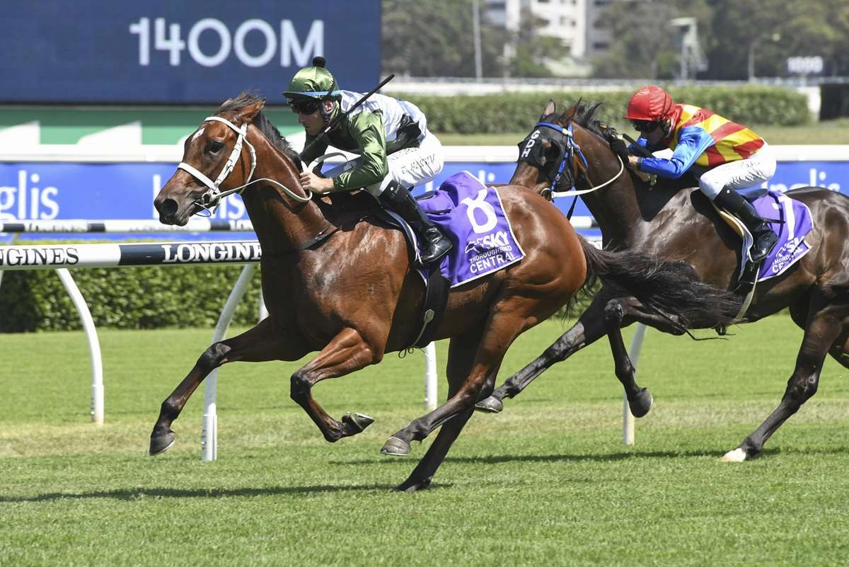 Waller unveils G1 ambitions for Subpoenaed