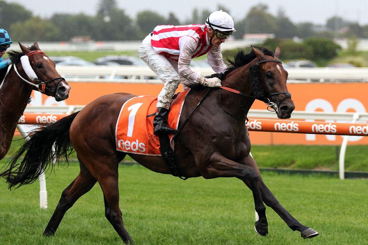 Futurity next for Super Seth
