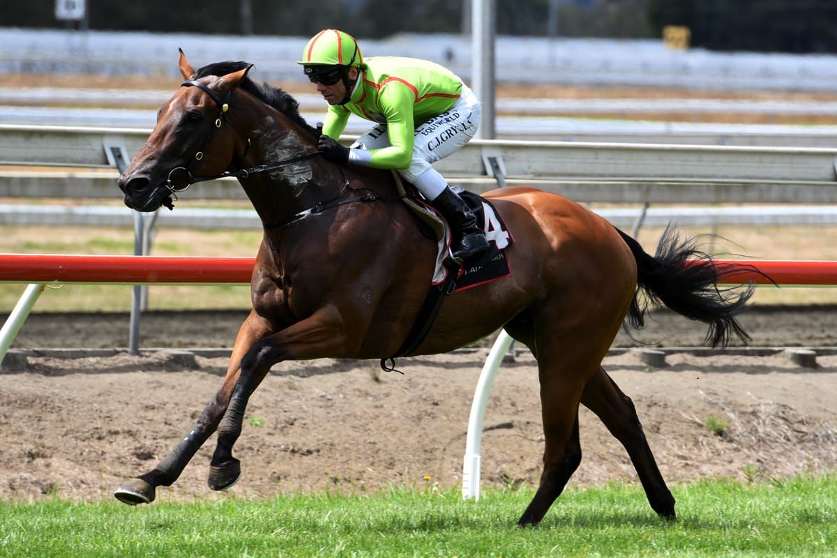 Superior victory for debutant