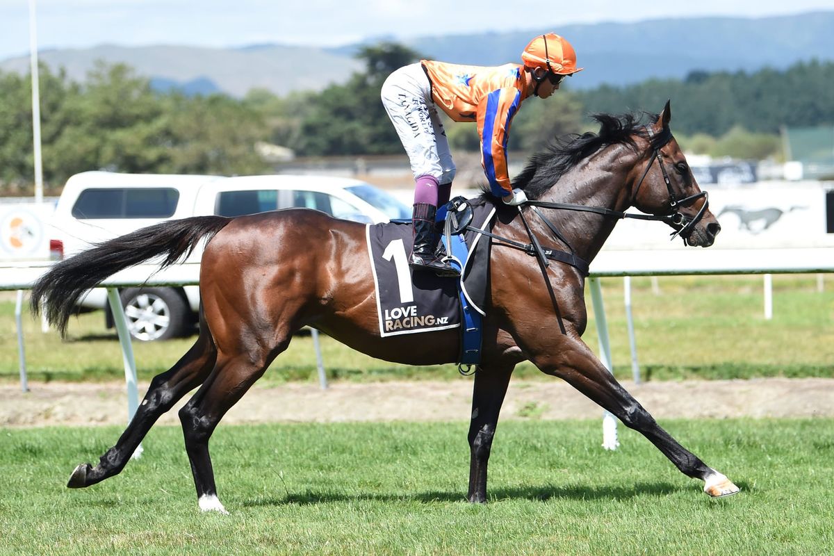 Te Akau Caliburn on Auckland Cup path