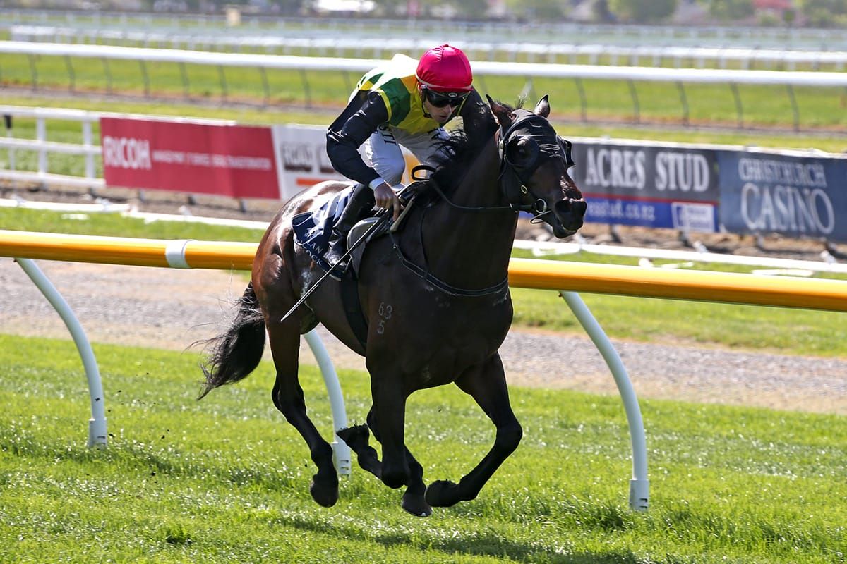 The Chosen One kicks off Sydney Cup campaign