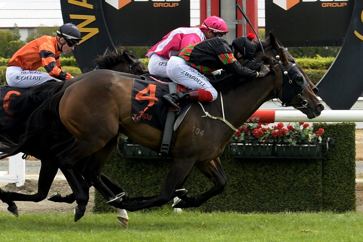 Queensland a likely target for Tiptronic
