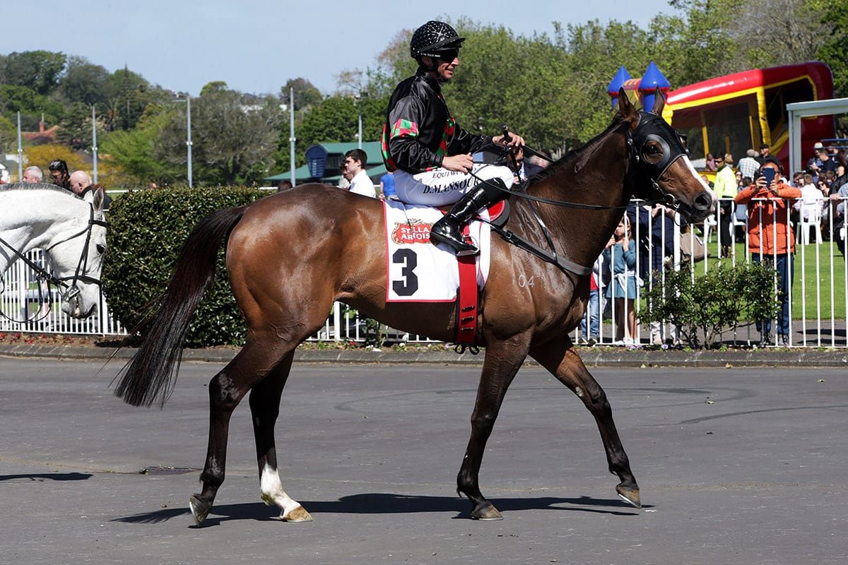 Richardson looking to go one better with Tiptronic in Waikato feature