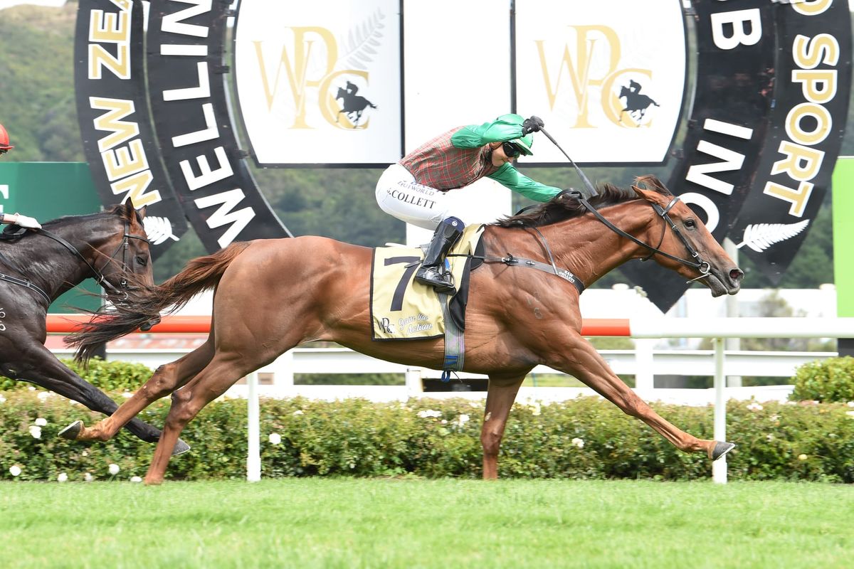 Group One options for Travelling Light