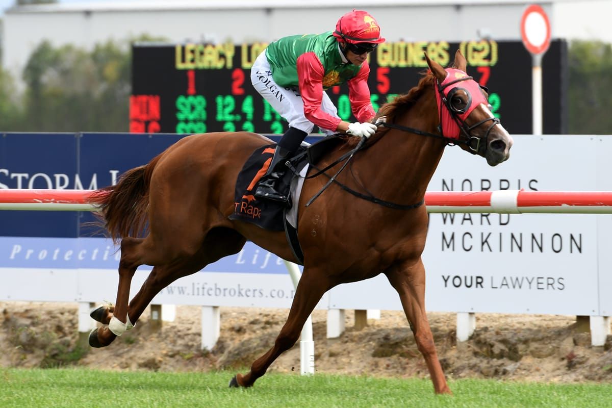 Two Illicit hands out a beating in Waikato Guineas