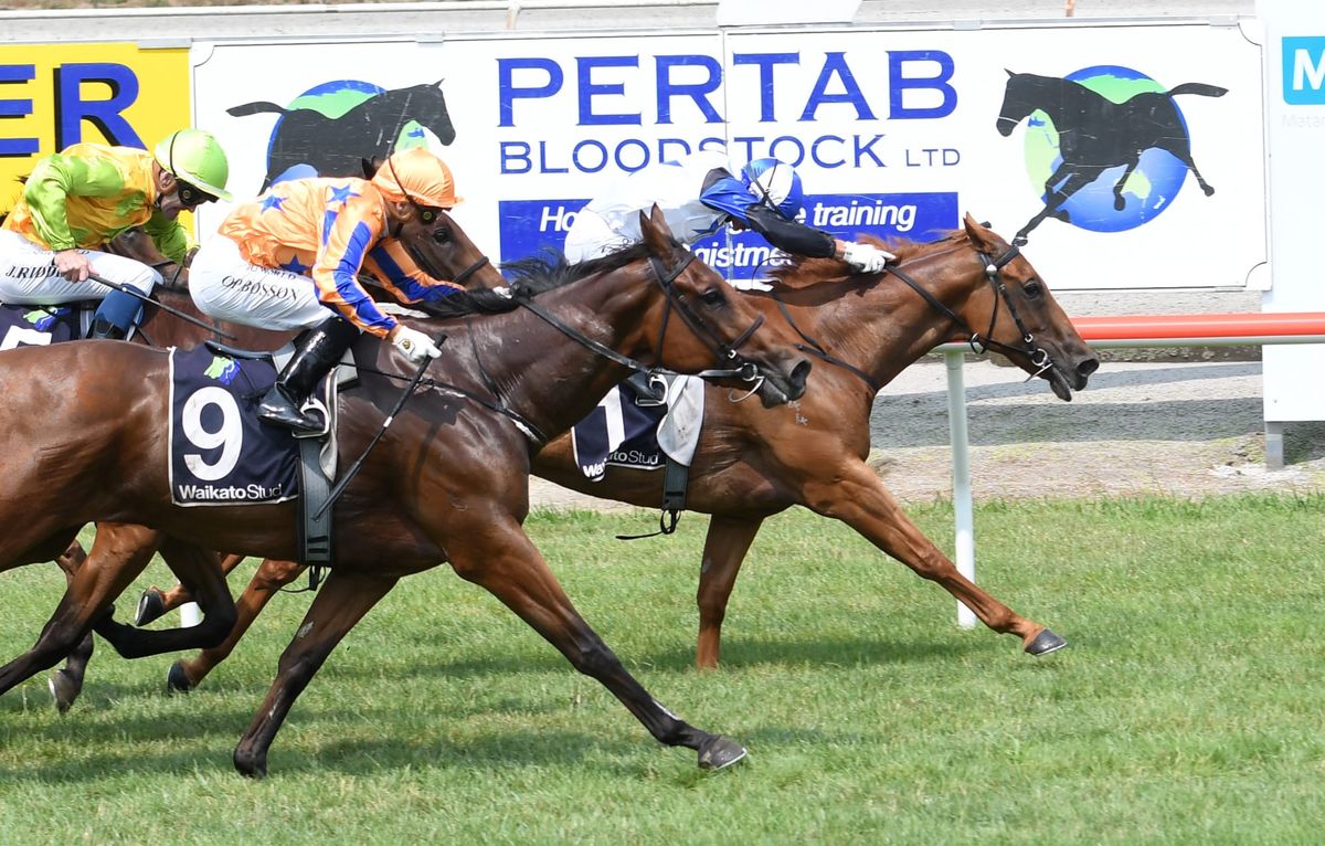 Valetti breaks maiden for owner-trainer duo