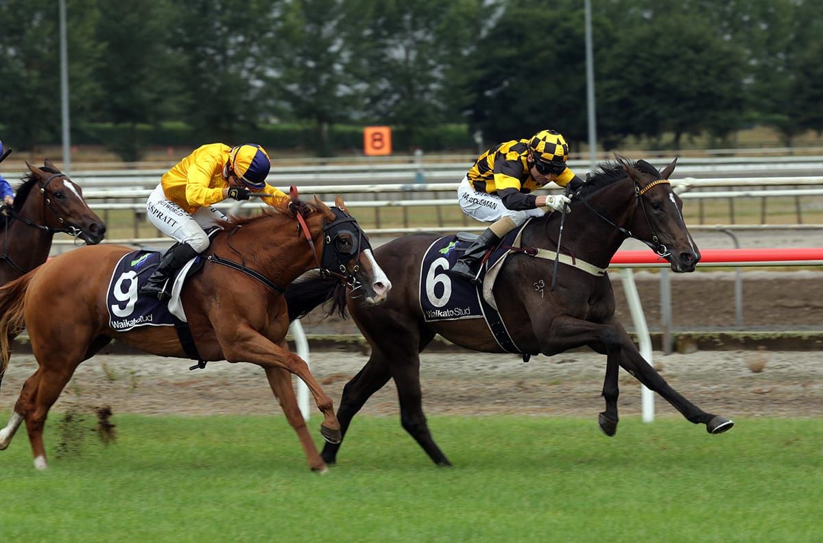 Kiwi filly follows in footsteps of Sunline
