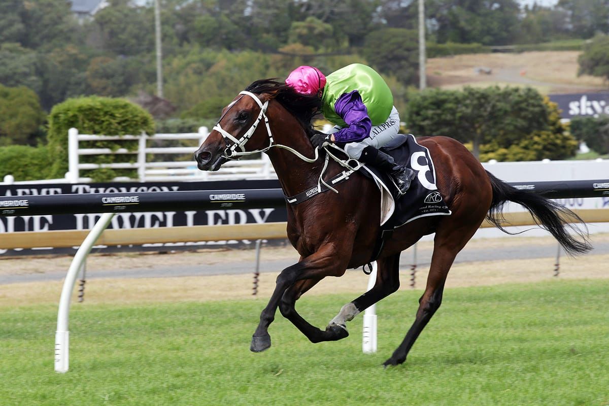 Campbell to provide triple threat in Derby
