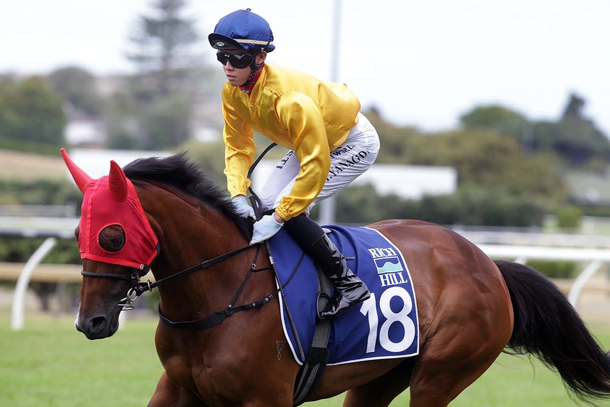 Za Za Gabor starting to reach potential