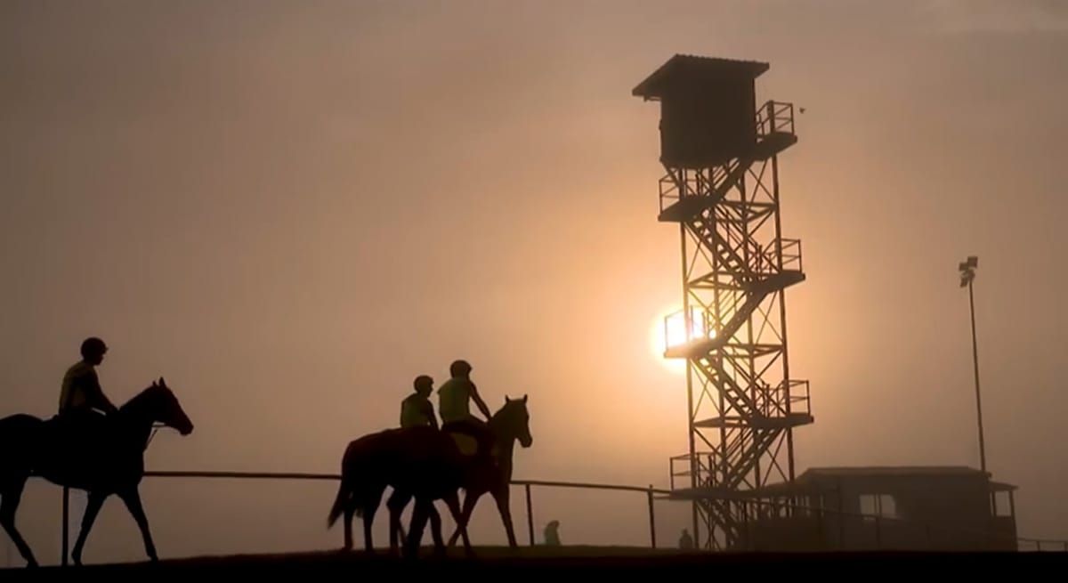 VIDEO: Auckland Cup