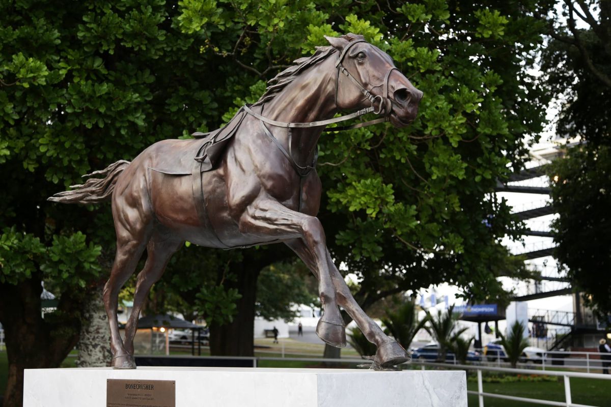 Bonecrusher: The horse of a lifetime