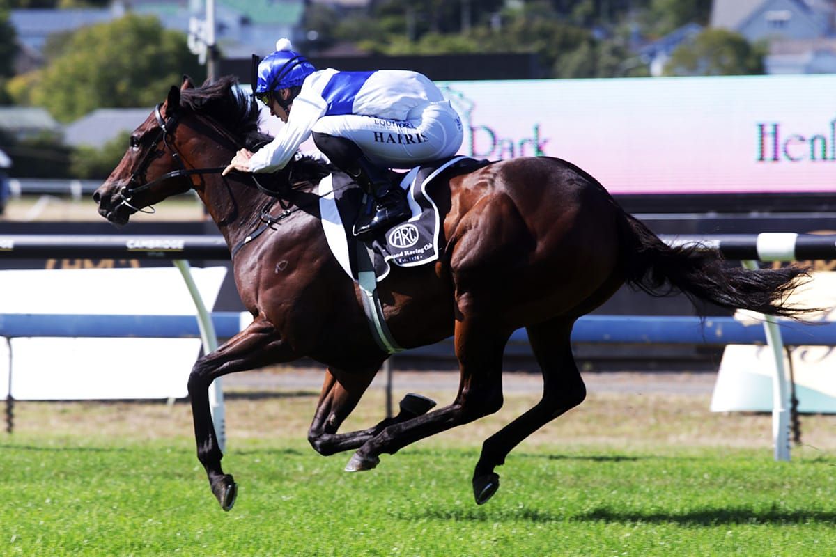 Catalyst still on target for All-Star Mile