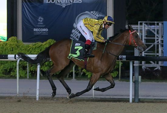 Koh keen to explore more options for Coming Through