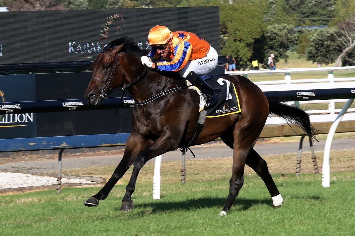 Richards shoots for further Group One spoils at Ellerslie