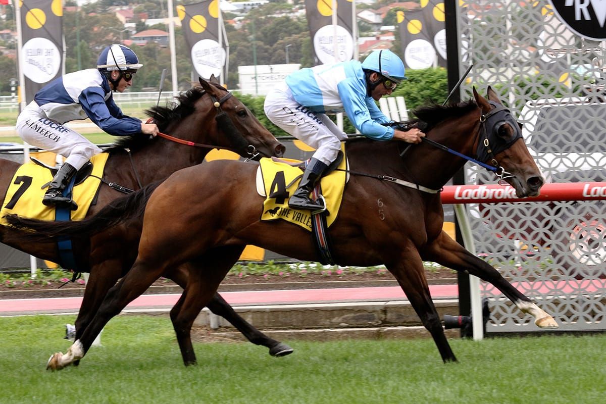 Embrace Me aiming to social distance Group One rivals