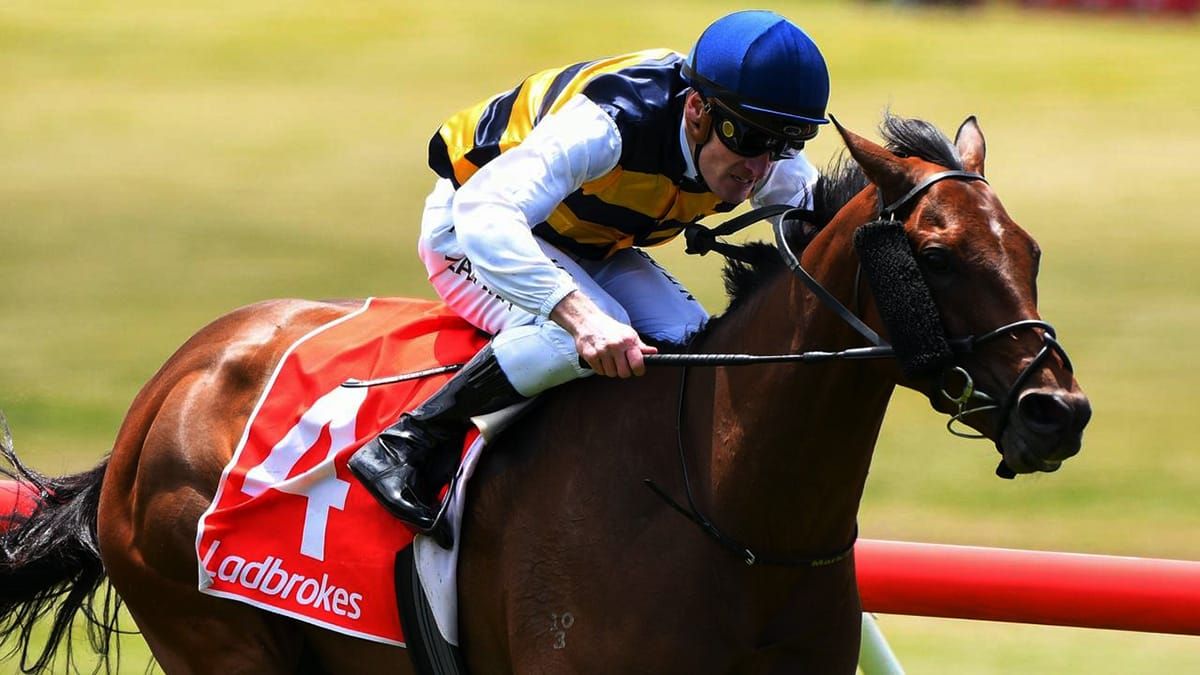 Azuro New Zealand bound for Auckland Cup