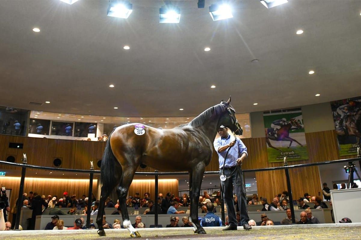 Easter Yearling auction to be held online