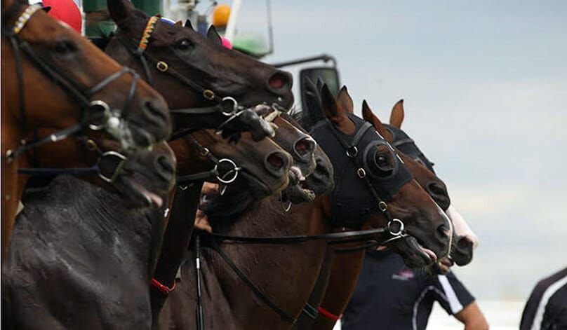 Oakbank off with prize money cuts in SA